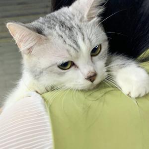 边查下面边吸奶很爽
